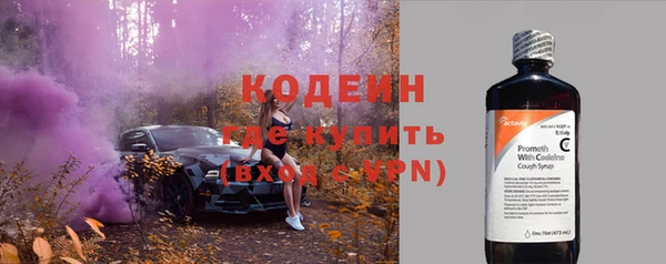 сатива Заводоуковск