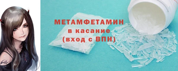 сатива Заводоуковск