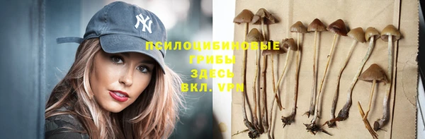 меф Заволжск