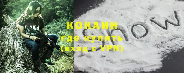 сатива Заводоуковск