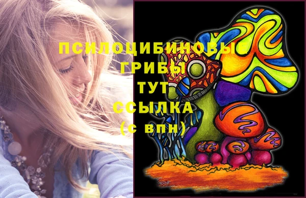 меф Заволжск