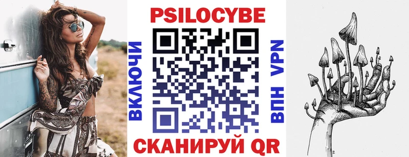 Псилоцибиновые грибы прущие грибы  Купить закладки  Коркино 